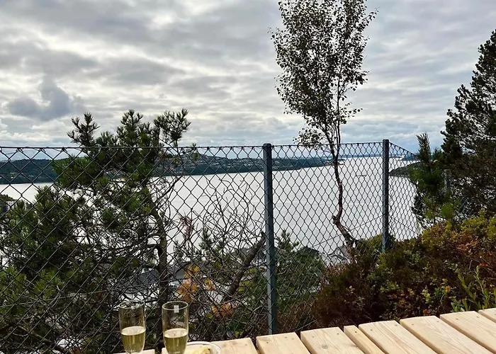 Apartman Cozy Near *